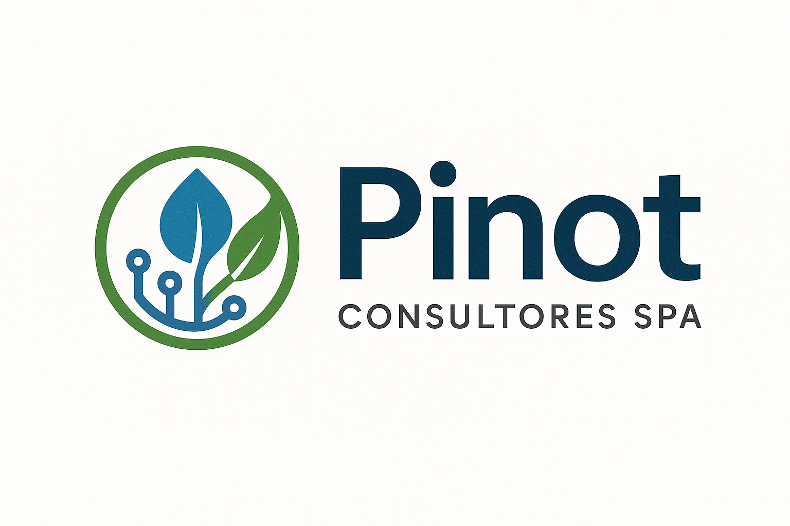 Logo Pinot Consultores SPA